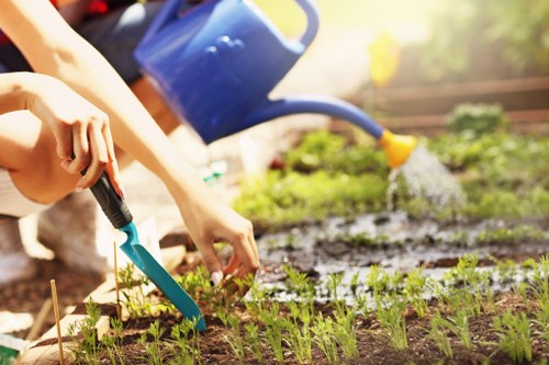 Tree felling service in Crystal Palace residential garden
