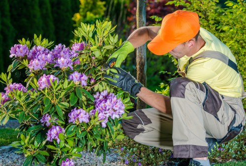 Tree surgeons payment security with online booking and protected transaction details