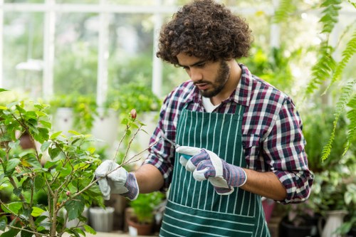 Insurance and safety planning for professional tree surgery work