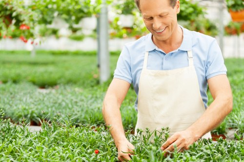 Professional tree care for commercial premises and shared spaces in Crystal Palace