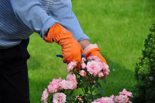 Site risk assessment and safety controls for tree surgery