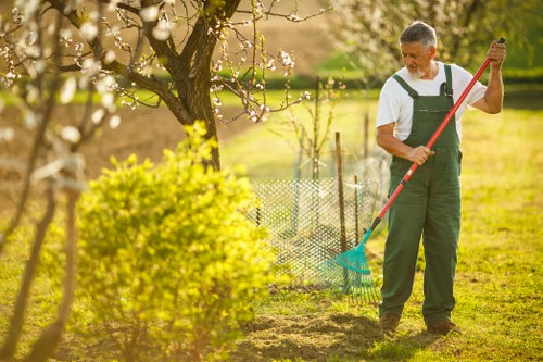 Professional pruning near a boundary line in Crystal Palace